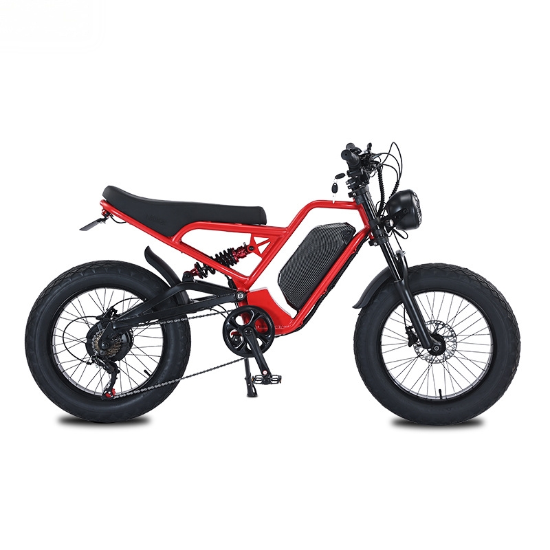 RRE QQA 13Ah lithium battery 4 - 48V 1500W Rear Hub Motor With Battery review and price
